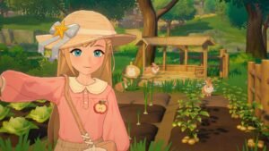 Sunset View of the Island